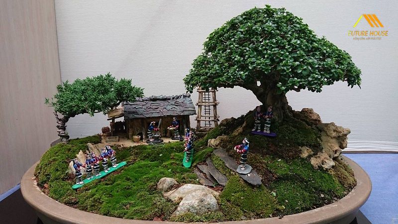 Cây Cảnh Bonsai Tặng Quà Tân Gia Căn Hộ Theo Sở Thích